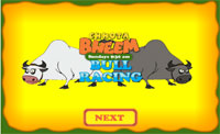 Bull Racing